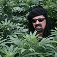 Q & A with Jorge Cervantes: The Man Who Loves Cannabis - The Weed Blog